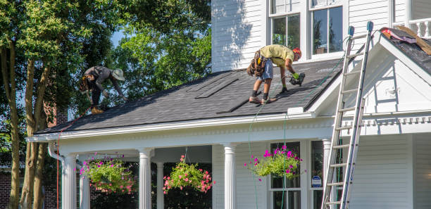 Professional Roofing Services in Coal Creek, CO